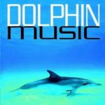 Dolphin Music Level 5