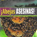 Abejas Asesinas! B1 - Sgel